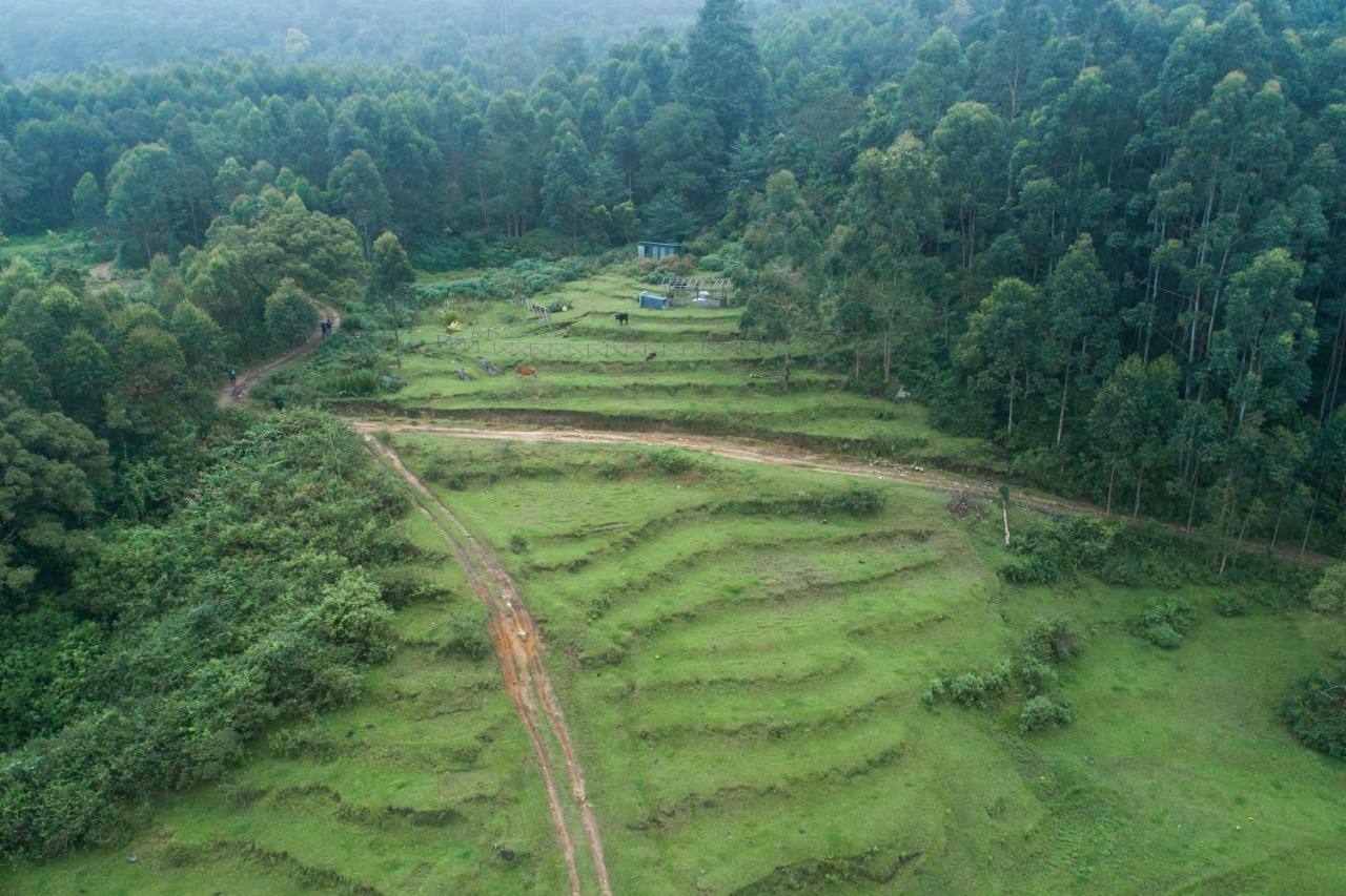Anandavana Jungle Living By Lexstays - Kanthalloor-Marayur Exterior foto